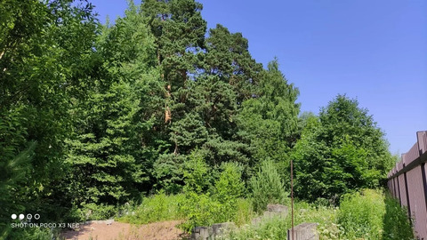 Участок с соснами в районе Барвихи на Рублевке с выходом в парк Раздол