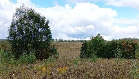 городской округ Владимир, село Мосино, Ленинский район, Берёзная ...