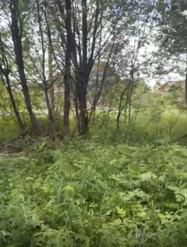 Участок 23 сот. (ИЖС) у леса