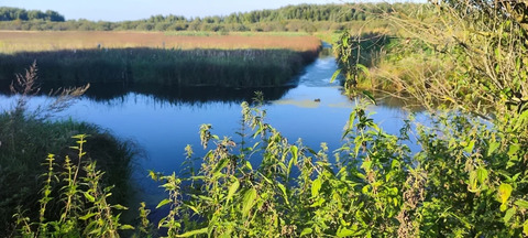 Участок 14 соток, д. Паткино, Раменский р-н