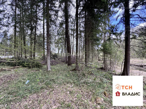 Продажа участка, Могильцы, Лотошинский район