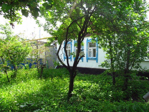 Дом в Засосне по ул.Новая
