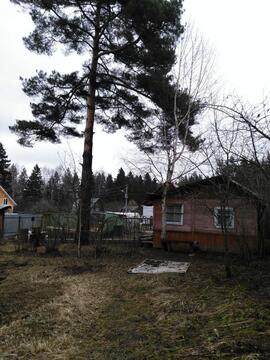 Продается дом на участке 3,2 сотки, деревня Гребнево