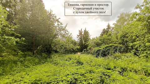 Продажа участка, Загорянский, Щелковский район, ул. Дзержинского