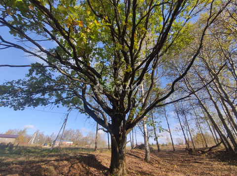 городской округ Владимир, село Мосино, Ленинский район, Хлебодарная ...