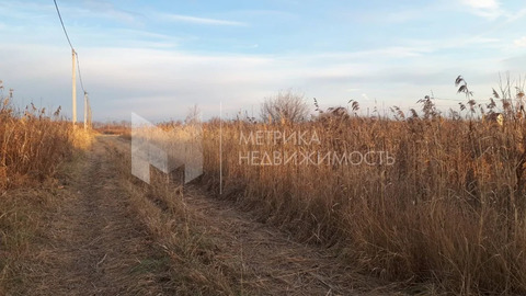 Продажа участка, Виктория, Ялуторовский р-н