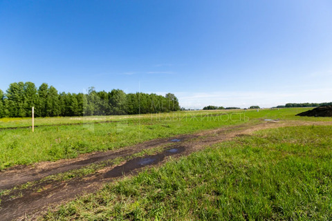 Продажа участка, Московка, Нижнетавдинский район, Нижнетавдинский р-н