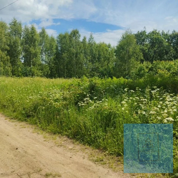 21 сотка в д. Климтино