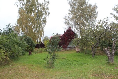Дом в деревне Левинская