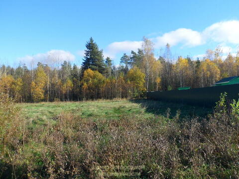Участок, Горьковское ш, 84 км от МКАД, Головино, в деревне. Прилесной .