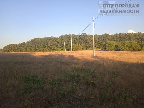 Участок в Живописном районе