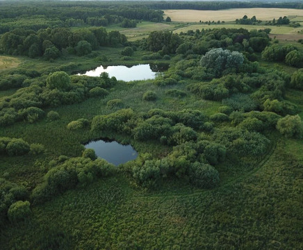 Участок 19 га (СНТ, ДНП)