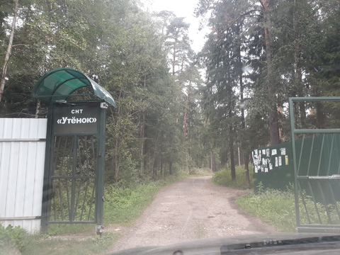 Дача СНТ Утенок в деревне Пласкинино.