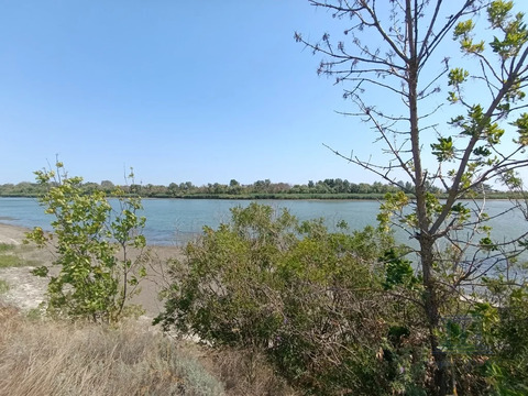 Продаю дачу в с/т Тихий дон х. Алитуб Аксайского района вблизи Ростова