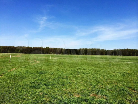 Продажа участка, Темрюк, Темрюкский район, ул. Грибоедова