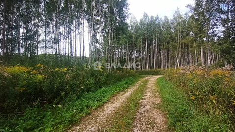 городской округ Владимир, Владимир, Октябрьский район, улица Селецкий ...