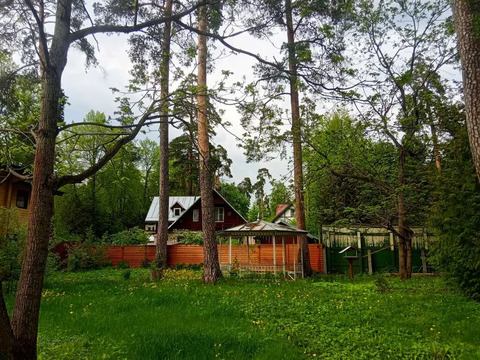 Участок в Нови, сосновый участок в стародачном поселке в Барвихе 6 км