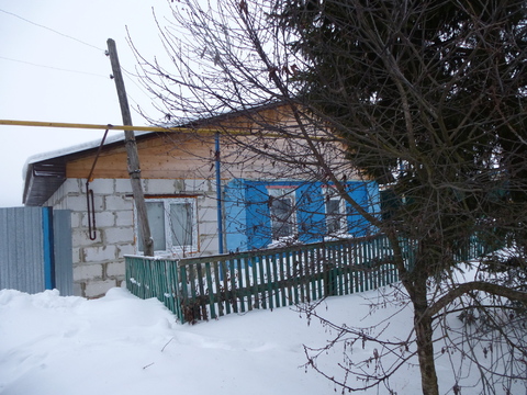 Дом в селе Цибулевка