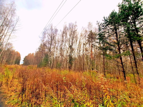 Камешковский район, село Палашкино,  земля на продажу