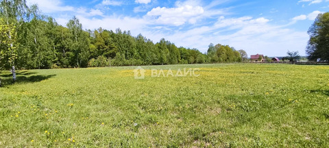 Петушинский район, деревня Пекша, Городок-Левитановская улица,  земля ...