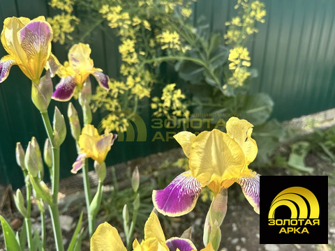 Продажа участка, Старотитаровская, Темрюкский район, Ильича пер.