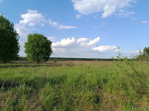 Участок в деревне Станинская