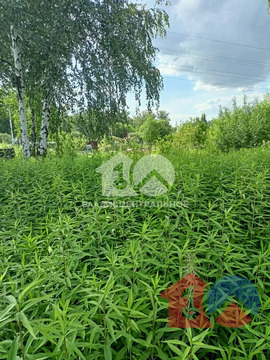 Новосибирский район, садовое товарищество Сибиряк-2, Калининский .
