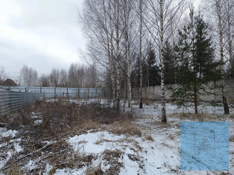 12 соток ИЖС в д. Шишовка