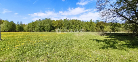 Петушинский район, деревня Пекша, Городок-Левитановская улица,  земля ...