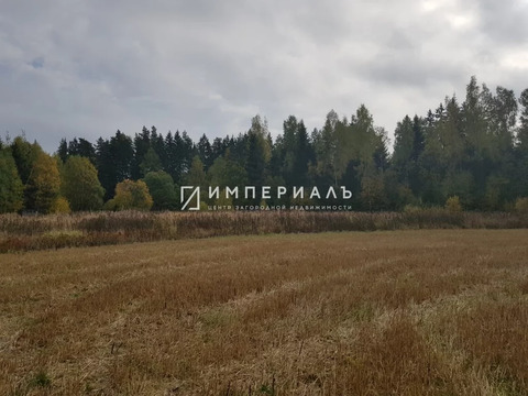 Продается земельный участок в д. Трубицыно Боровского района