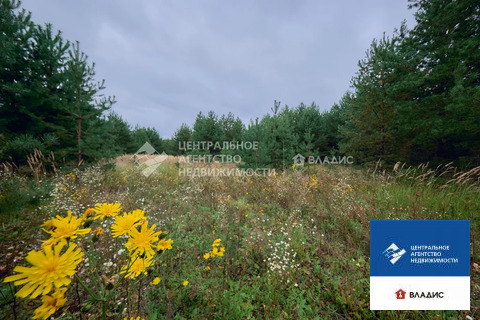 Продажа участка, Спасский район