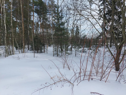 Продажа участка, Электроугли, Богородский г. о.