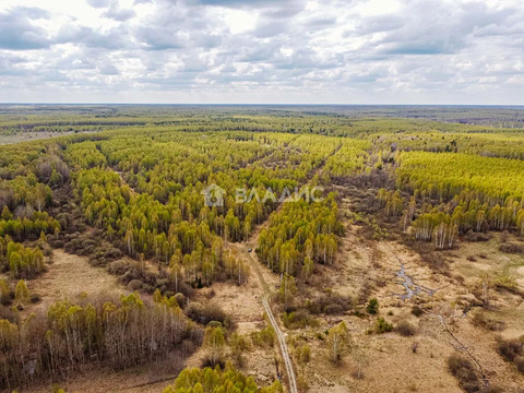 Судогодский район, деревня Кощеево,  земля на продажу