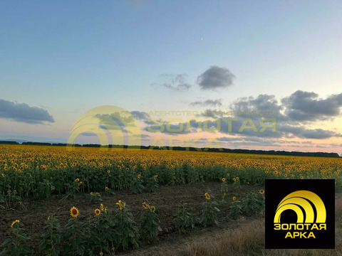 Продажа участка, Старотитаровская, Темрюкский район, Ильича пер.