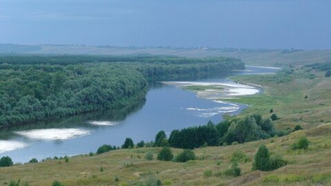 Продажа земельного участка Языково Нижегородской области на реке Сура