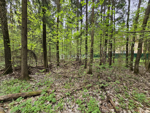 Наро-Фоминский городской округ, СНТ Новые Черёмушки,  земля на продажу