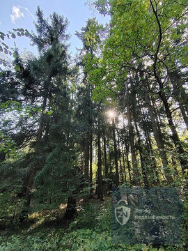 Обжитой стародачный поселок  Фрунзевец. 30 км от МКАД по Киевскому ш.