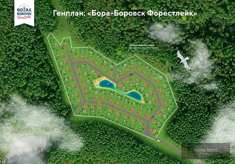 Участок у лесного озера