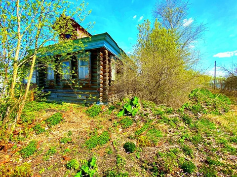 Дом в деревне Дорофеево