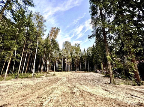 Одинцовский городской округ, садоводческое некоммерческое товарищество ...